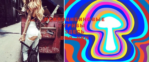 apvp Алексеевка