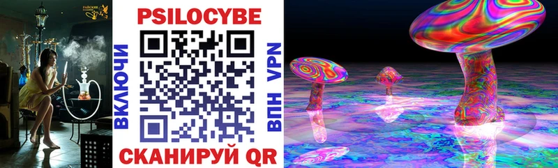 Купить  Брюховецкая  Псилоцибиновые грибы MAGIC MUSHROOMS 